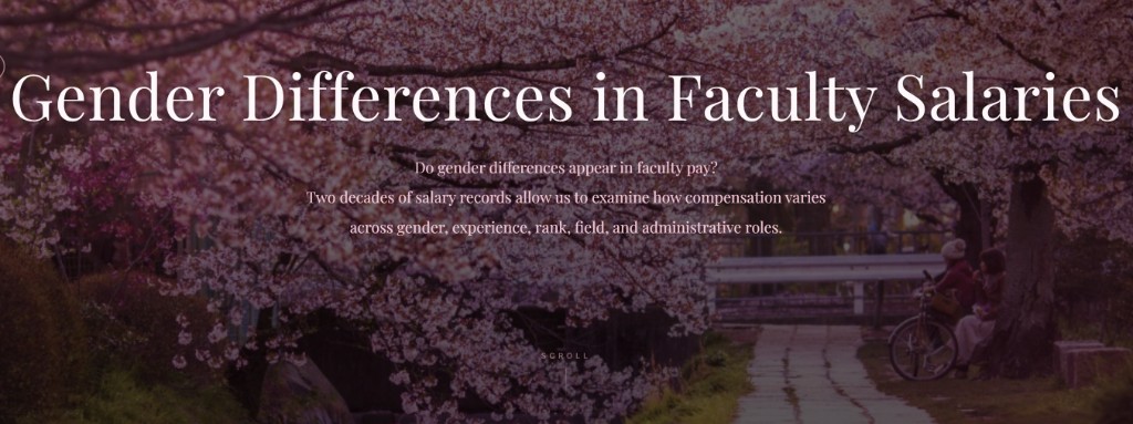 Faculty Salary Explorer project